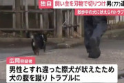 散歩中の犬の腹を蹴り、飼い主の顔をナイフで切りつけた男を逮捕 「吠えられた、遠ざけるために刃物を出した」