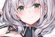 大手Vtuber「AIファンアートはタグ分けします。また“無断学習”で生成したイラストは禁止です！」→生成AI界隈発狂、大荒れに