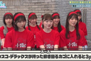 【日向坂46】小坂の懐入り隊に唯一入った同期メンバーｗｗｗｗｗｗｗ