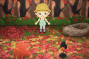 【あつまれどうぶつの森】モミジが舞う季節になったね