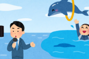 メディア「東京湾にイルカが100頭近く現れました！」 ← これｗｗｗｗｗｗｗｗｗ