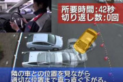 教官「駐車のポイントは後ろの窓に最後のポールが映ったら左に全部切れ」→これｗｗｗｗｗｗｗｗｗｗｗ