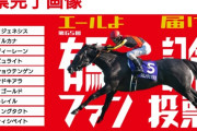 有馬記念のサイン何か有馬すか？
