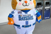 プロ野球の画像が集まった結果