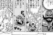 【画像】今週のワンピース、遂に説明だけで1P使いハンターハンターみたいになってしまう