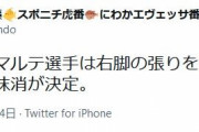 阪神・マルテ　右脚の張りで登録抹消