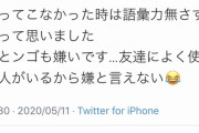 大人気Youtuber東海オンエアゆめまるさん、また炎上しそうなツイートをしてしまう……。【その１】