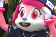 抱きつきたいプロ野球マスコット