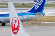 ANAとJALってコロナが収束するまで会社もつのかな？