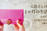 アラサー一人暮らしOLの生活費！都内手取り20万円台の支出内訳「ちゃんと管理できててすごい！」「私も見習おう…」海外の反応