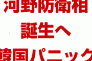 河野防衛相誕生で韓国パニック状態！　対韓強硬派に限って残留する見込み！　柔軟な対応をした岩屋防衛相は更迭か！