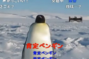 何でペンギンって日本に住まないの？