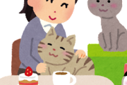 【急募】男独りで猫カフェに行く方法ｗｗｗｗｗ