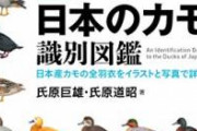 【画像】 Wikipediaさん、感動的なメッセージを読者に送る