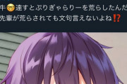 【悲報】野獣先輩界隈、すとぷりファンの報復によって荒らされてしまい危機に陥る