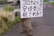 【コロナより安倍晋三に殺される】れいわ支持者さん、一人デモ敢行「ﾀﾝﾀﾝﾀﾀﾀﾝ　アベは、やめろぅ...」