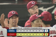 広島東洋カープとかいう球団　カード別勝敗内訳があまりにもおかしいwwwwwwwww