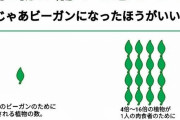 ビーガン「植物は痛みを感じる？植物は痛みを感じません。動物は間違いなく感じます。じゃあ、ビーガンになった方がいい」←スレ民「痛みを感じない植物人間は食ってええの？」