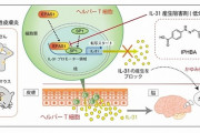 【大朗報】アトピーの「痒みを根元から絶つ」化合物の開発に成功　九州大学が快挙か