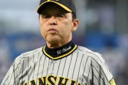 【謎】阪神タイガースが2024年に全く補強に動かなかった理由wwwwwwwwwwwwwwww