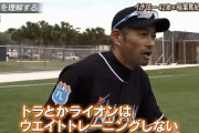 【画像】イチロー「筋トレは絶対やっちゃダメ笑。サバンナのライオンが筋トレすると思います？笑」