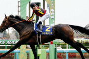 【競馬】　社台SSが来年度の種付け料を発表　1000万超えは4頭