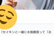 【悲報】加藤純一「セイキンのスマホ、エイの裏側で顔認証できるまで帰れま10やるべ！ｗ」ヒカキン「…」