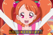 【画像】そろそろ来年のプリキュアのモチーフは何か予想しよう