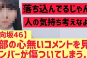 【日向坂】メンバーが心無いコメントで落ち込む事態へ….