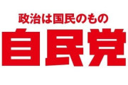 【悲報】自民党「参院選で大敗したのはやっぱりSNSのせいだ！！」