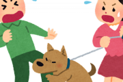 【悲報】ワイや家族を噛んで、毎年誰かを病院送りした犬はもういない・・・