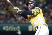 阪神・森下　前半戦で並んだ自己最多16号「絶対に取り返そうと打席に入った」エラー挽回同点アーチ実らず