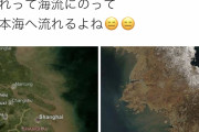 中国と韓国から茶色いのが流れてると判明（画像あり）