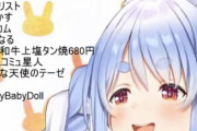 【朗報】VTuber・兎田ぺこらさん、例のぺこーらコピペに触れるｗｗｗｗｗｗｗ