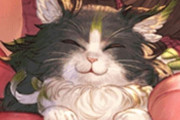 【グラブル】イーウィヤが猫のまま迎える9周年イベ、ルオーが来れば唯一リミ化されていない六竜に
