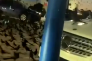 何がどうしてこうなった。駐車場を占拠する恐ろしすぎるほどの鳥の大群。海外の反応