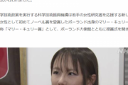 【悲報】ガチのリケジョさん「一応私、数学得意ですよ？」ワイ「ほーんｗエクセルで足し算でもするんｗ」→結果ｗｗｗｗ