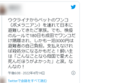 【ボコボコ】新聞記者「日本に狂犬病をもちこむなという冷たいコメントが多数、さすがの鎖国体質」←批判殺到