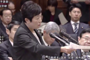 【悲報】立憲・辻元氏「『パフォーマンス』って誰か言った？誰？」野党「うわあああ時計止めろおおお」（国会動画）