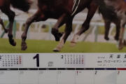 【競馬・画像】JRAカレンダー持ってるけどこれのことか？