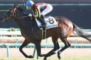 【競馬】　ルフトシュトローム←これより噛みそうな馬名って過去にあった？