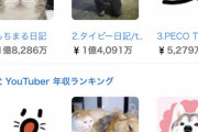 【衝撃】なぜかやたらと子猫を拾うYouTuberの年収、ヤバすぎる