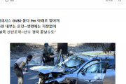 韓国メディアタイガーウッズが命拾いしたと賞賛が相次ぐ　韓国人ネット「現代の記事広告かよ」と批判