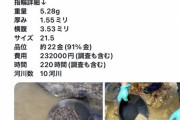 【動画像】最高にコスパ良くイカしたプロポーズの仕方が発見される‥‥こんな純金指輪渡されたら泣いてしまうやろ?
