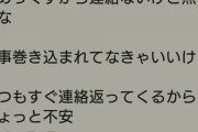 【悲報】カメックス、大阪の火事で亡くなっていた…