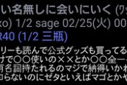 ソシャゲキッズ「こっちは何十万と課金してきたのに一番強い格ゲーマーに固有名詞持たれるのは許せない」