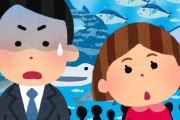 水族館にて姪(4)「ねぇ、おさかなさんってなんでみずのなかでもいきができるの？」ワイ「……」