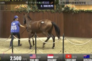 静内農業高校の生産馬が2500万円で落札