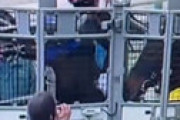 【動画】 団野大成騎手、レース前に馬の頭部をムチの柄で叩いていたのがバレて処分・・ その瞬間が激撮されていた