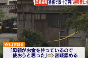 母親刺殺の男「母がお金を持っているので使おうと思った」